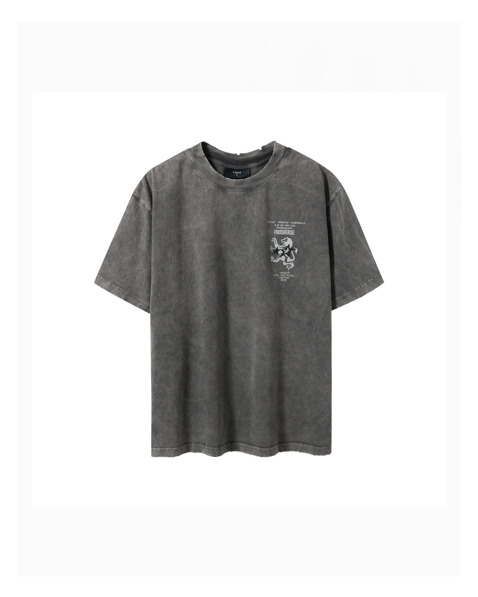 TWG33 - WASHED T-SHIRT WITH HORIZONTAL FLAG - DARK GRAY